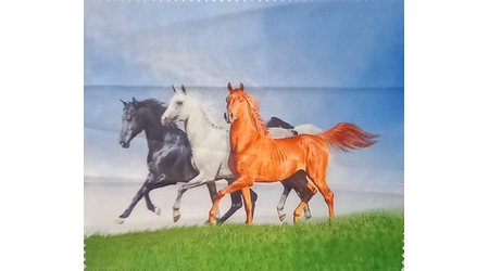Cloth6017 3 horses (298661)