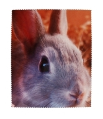 KAP-1518 HNF rabbit (59843)